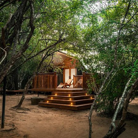 Leopard Reach Yala By Seven Angels Hotel Tissamaharama Exterior foto