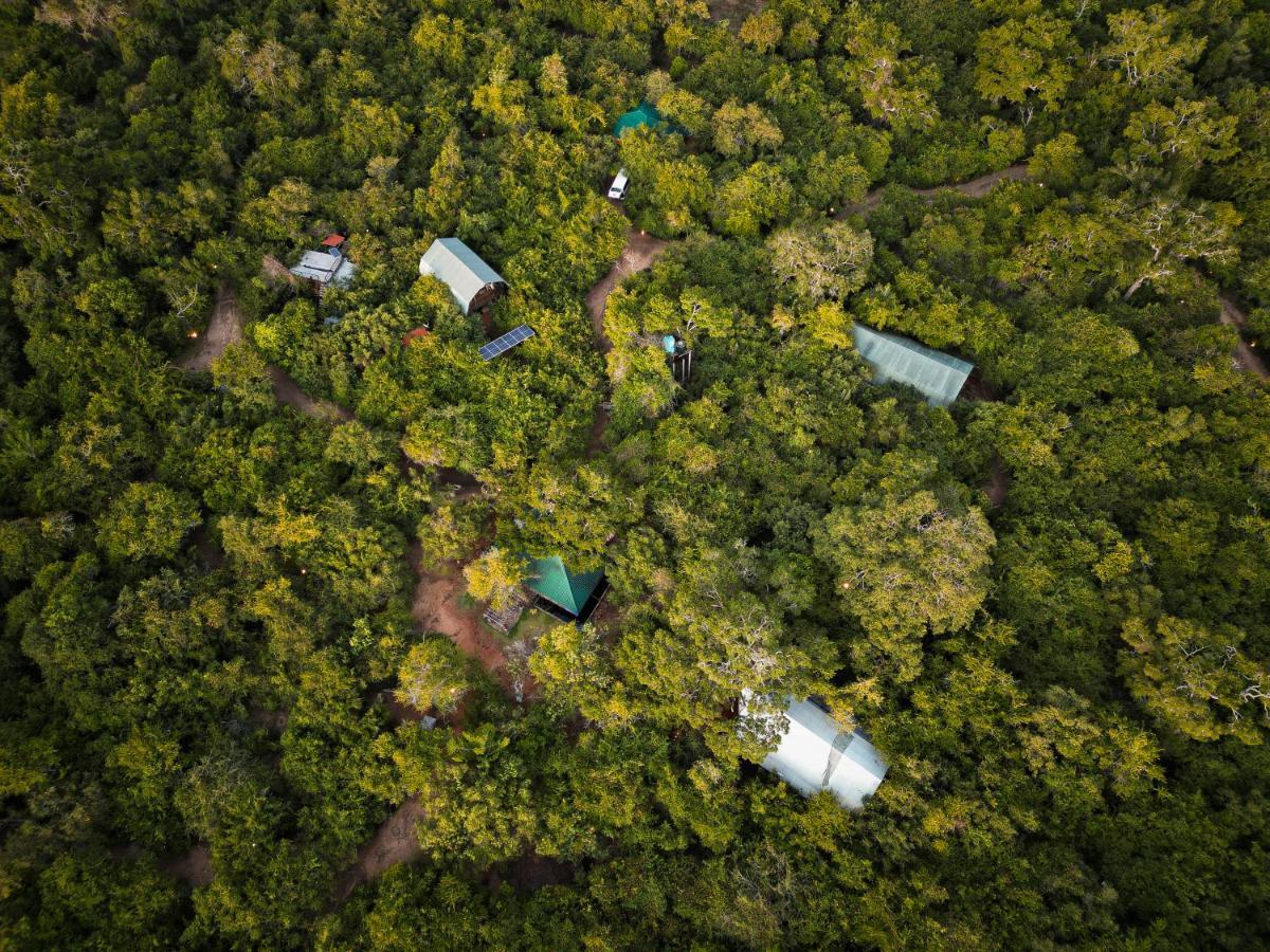 Leopard Reach Yala By Seven Angels Hotel Tissamaharama Exterior foto