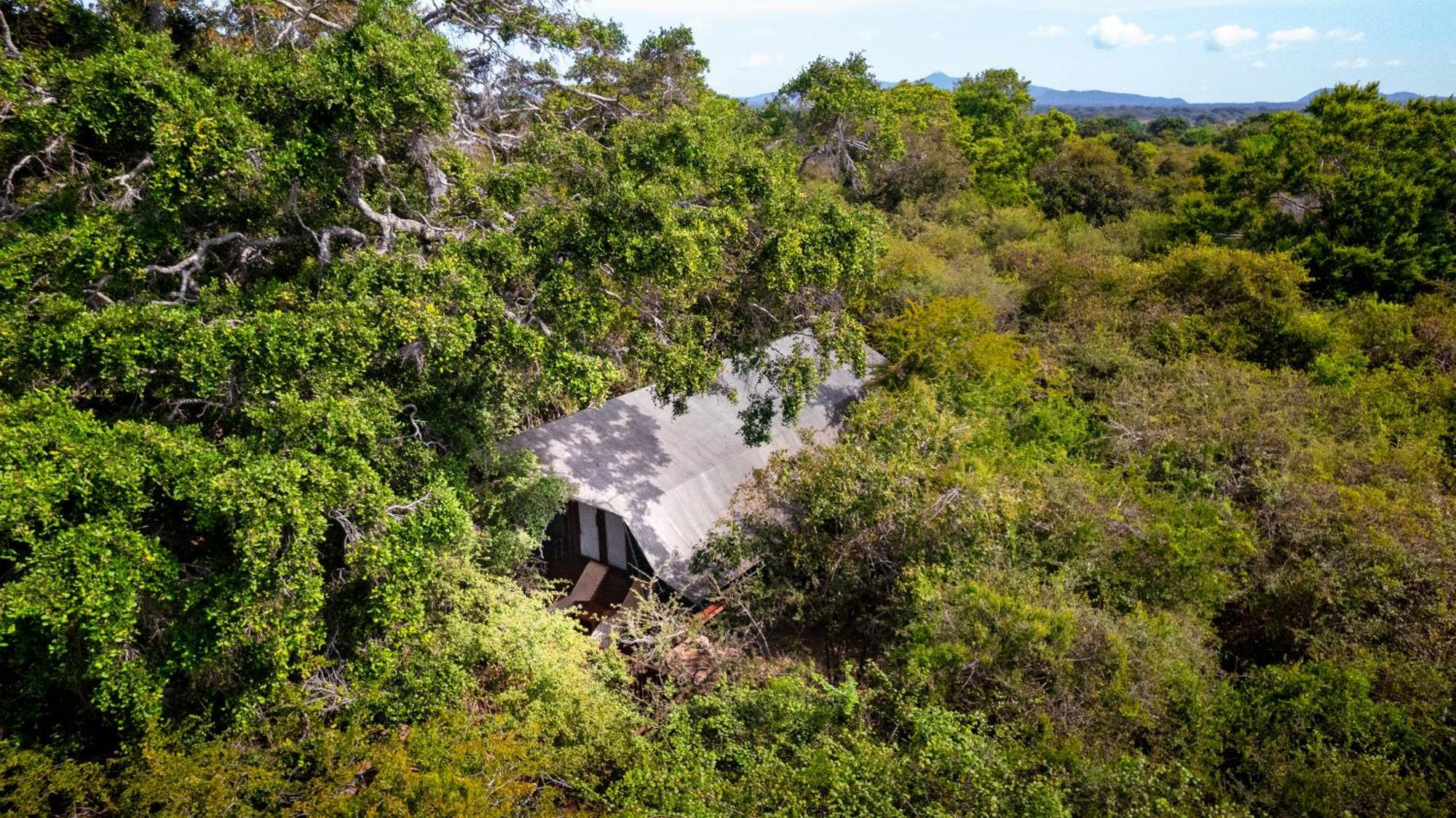 Leopard Reach Yala By Seven Angels Hotel Tissamaharama Exterior foto
